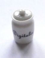 Digitalis Display Jar